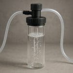 Kabomba karolińska – Cabomba caroliniana