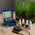 Kabomba żółta – Cabomba aquatica