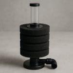 Neon czerwony – Paracheirodon axelrodi