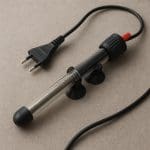 Danio lamparci – Danio kyathit