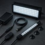 Kirys panda – Corydoras panda