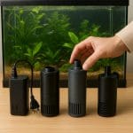 Mandaryn wspaniały – Synchiropus splendidus