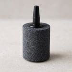 Nurzaniec karłowaty – Vallisneria nana