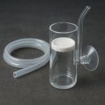 Sagittaria szerokolistna – Sagittaria platyphylla