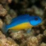 Jak dbać o równowagę biologiczną