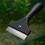 Razbora klinowa – Trigonostigma heteromorpha