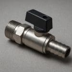 Pogostemon helferi – Pogostemon helferi