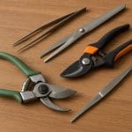 Eleocharis pusilla – Eleocharis pusilla