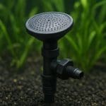 Bolbitis difformis – Bolbitis difformis