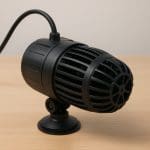 Anubias coffeefolia – Anubias barteri var. coffeefolia