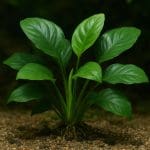 Sterownik oświetlenia