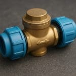 Hygrophila sp. araguaia – Hygrophila sp. 'Araguaia’