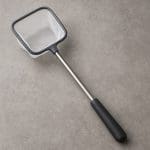 Sumik kanałowy – Ictalurus punctatus