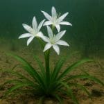 Panel LED z regulacją barwy