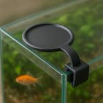 Nymphoides indica – Nymphoides indica