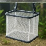 Cryptocoryne cordata – Cryptocoryne cordata