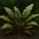 Kostka ceramiczna do filtrów