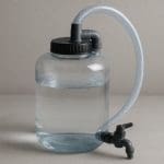 Aponogeton longiplumulosus – Aponogeton longiplumulosus