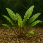 Włóknina filtracyjna