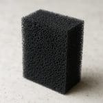 Kardynałka koralowa – Sphaeramia nematoptera