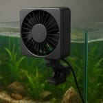 Salvinia cucullata – Salvinia cucullata