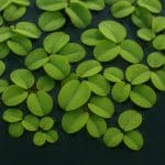 Chłodzący wentylator akwariowy