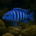 Jak sadzić rośliny w podłożu