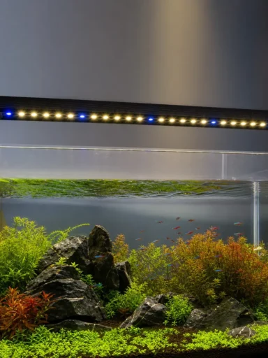 Aquael Leddy Slim Sunny Day&Night - belka LED