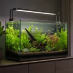 Eheim Ecco Pro 300 – filtr kubełkowy
