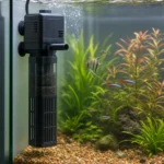 Krewetka Pure Red Line – Caridina logemanni 'Pure Red Line’