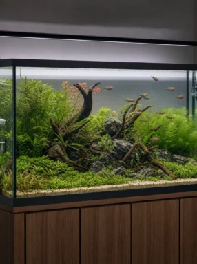 Akwarium 250 l