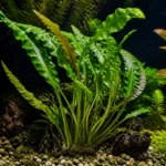 Eheim ReeflexUV 800 – sterylizator UV