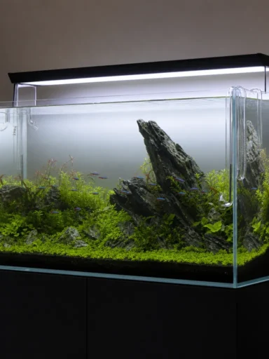 Akwarium Optiwhite – czy warto
