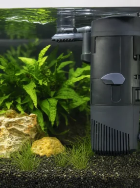 Eheim Biopower 240 - filtr wewnętrzny biologiczny